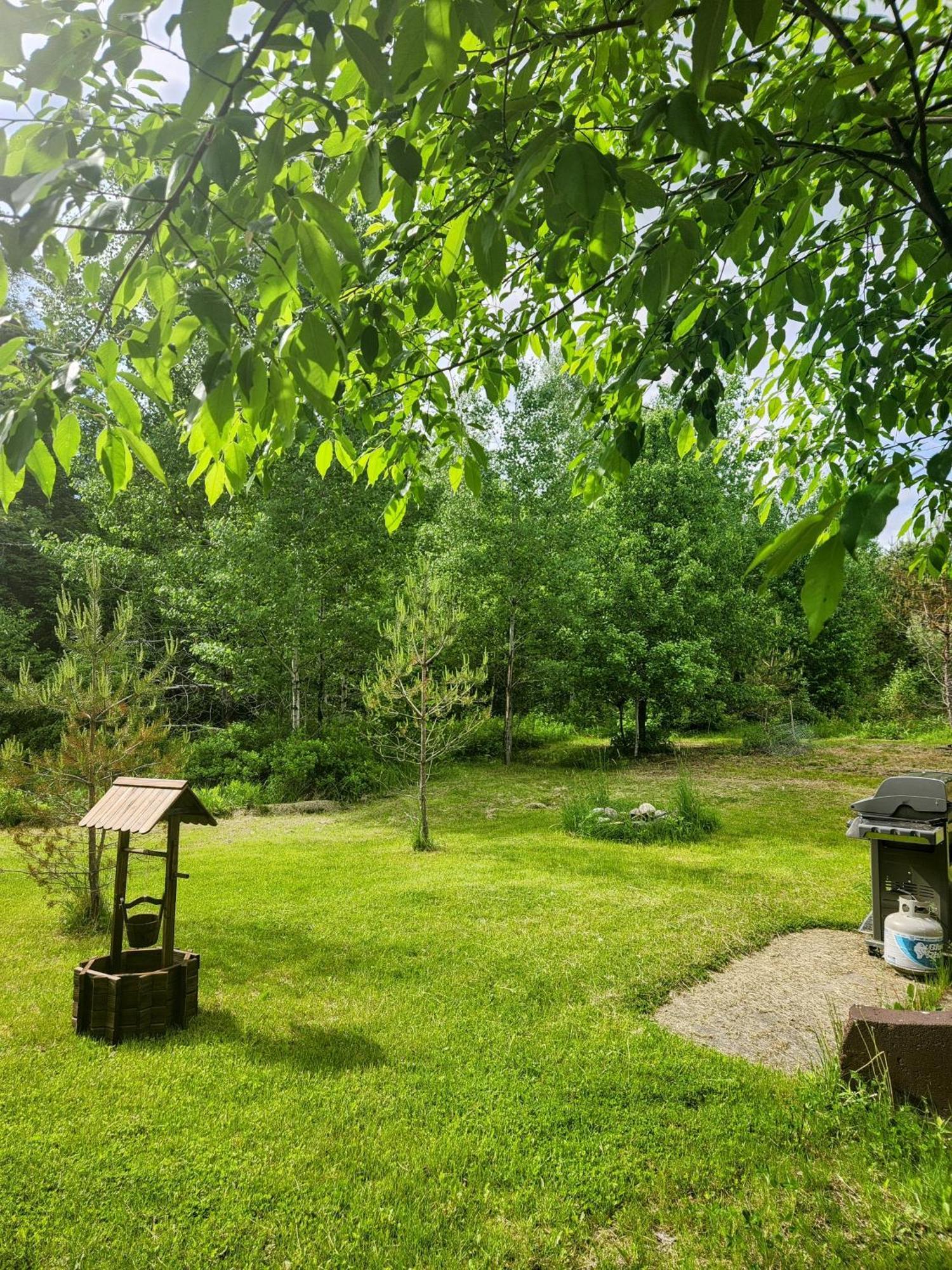 Backyard Bliss In The White Mountains Vila Lincoln Exterior foto