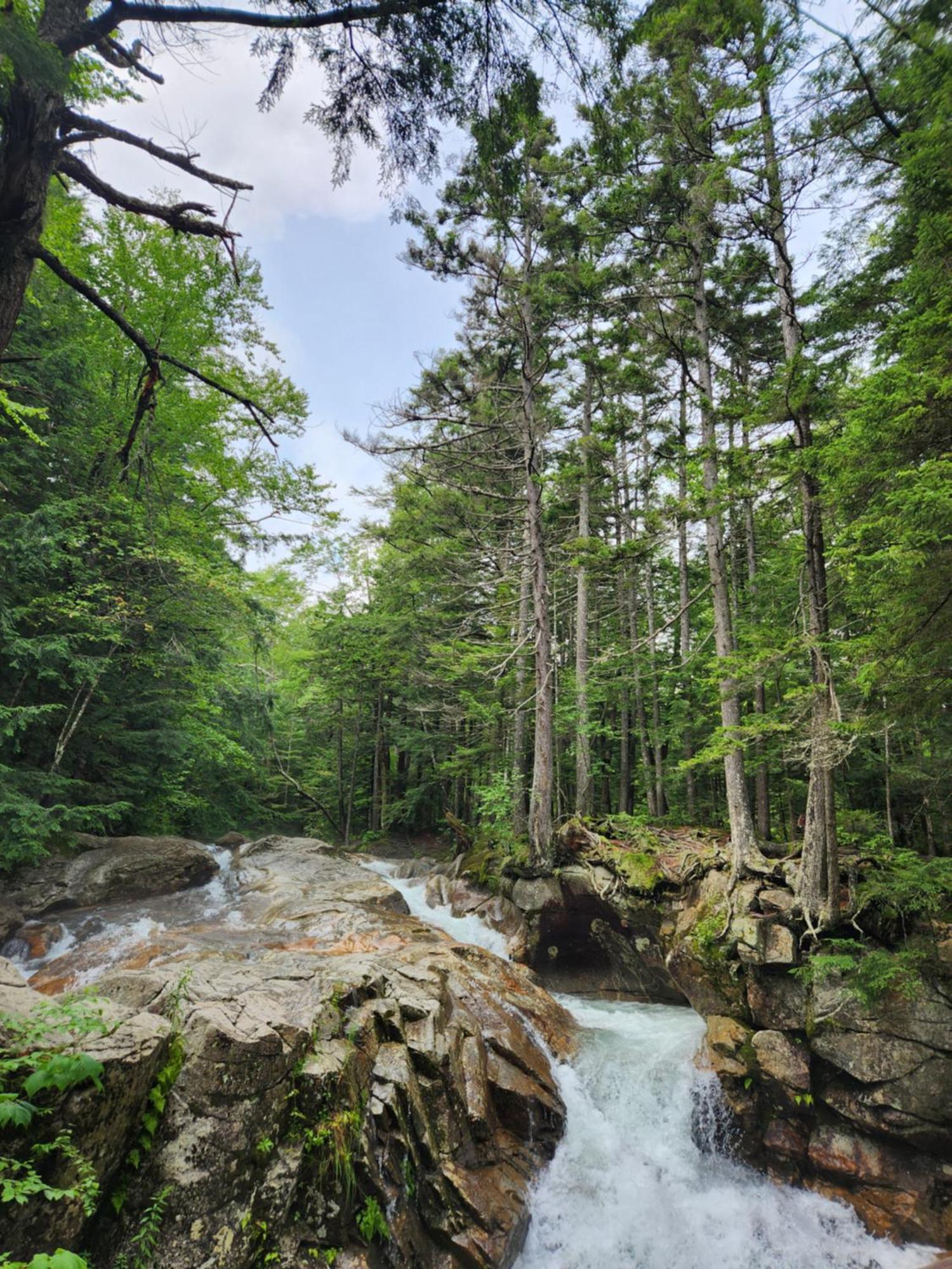 Backyard Bliss In The White Mountains Vila Lincoln Exterior foto